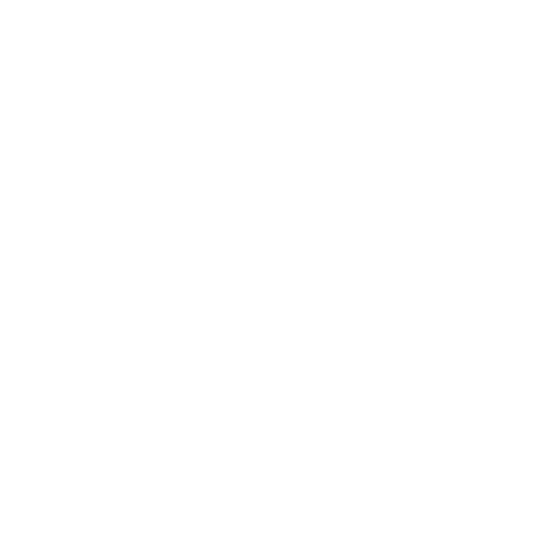 نظام الحسابات العامة 